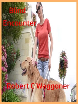 cover image of Blind Encounter